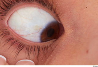HD Eyes Wild Nicol eye eyelash iris pupil skin texture…